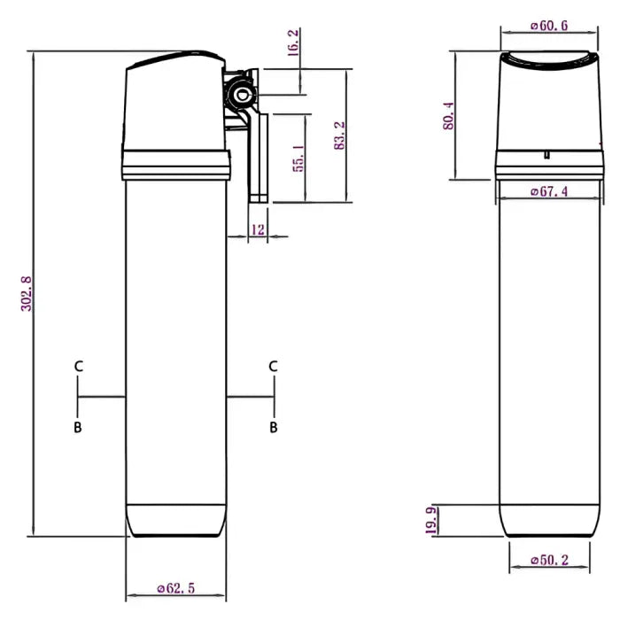 Dimensions diagram for the inline water filter showing 302.8 mm overall height, 80.4 mm head height, 67.4 mm collar diameter, 62.5 mm cartridge body and 50.2 mm base